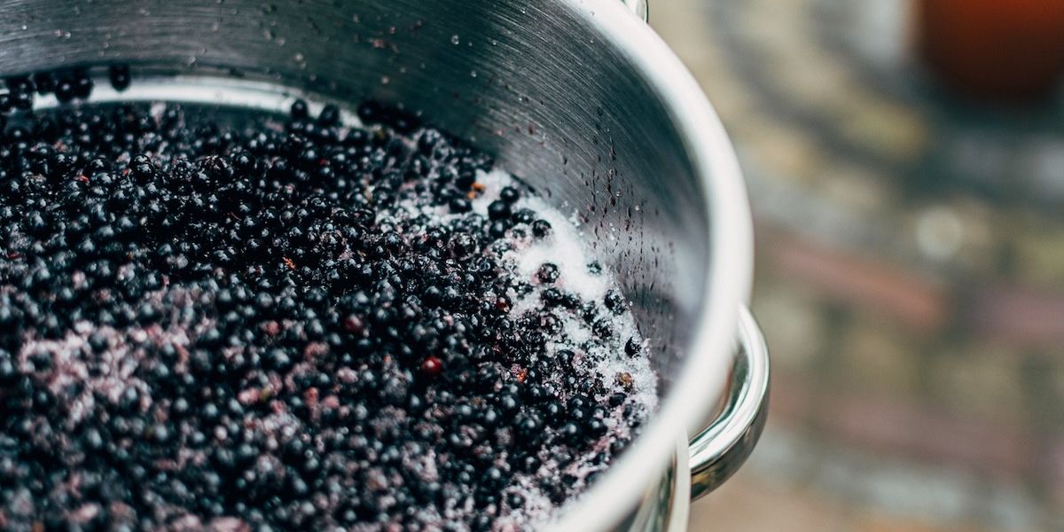 Esses 6 alimentos podem levar a uma melhor saúde cerebral – mas provavelmente você não os está comendo